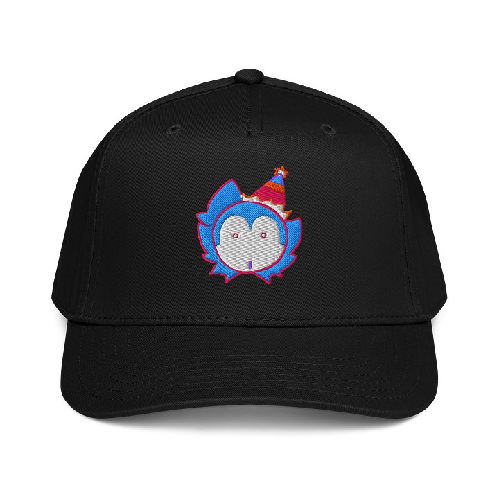 The PiggyToon Hat product image (1)