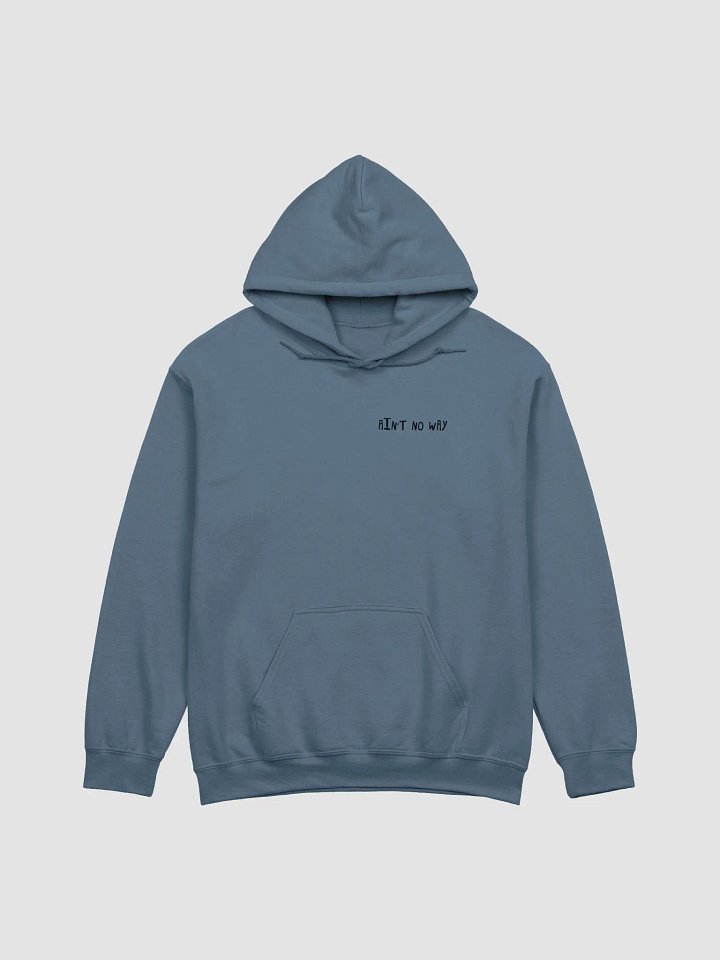 Ain't No Way Hoodie product image (1)