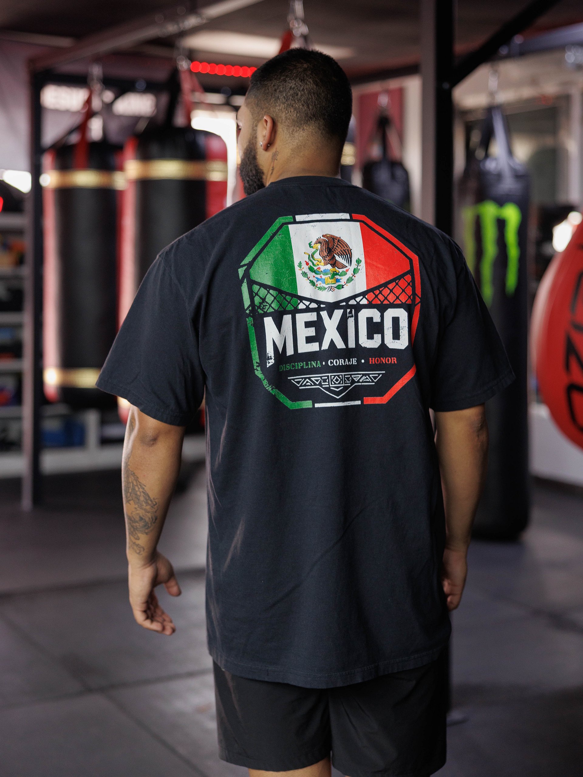 Fight Flags Tee - Mexico product image (3)