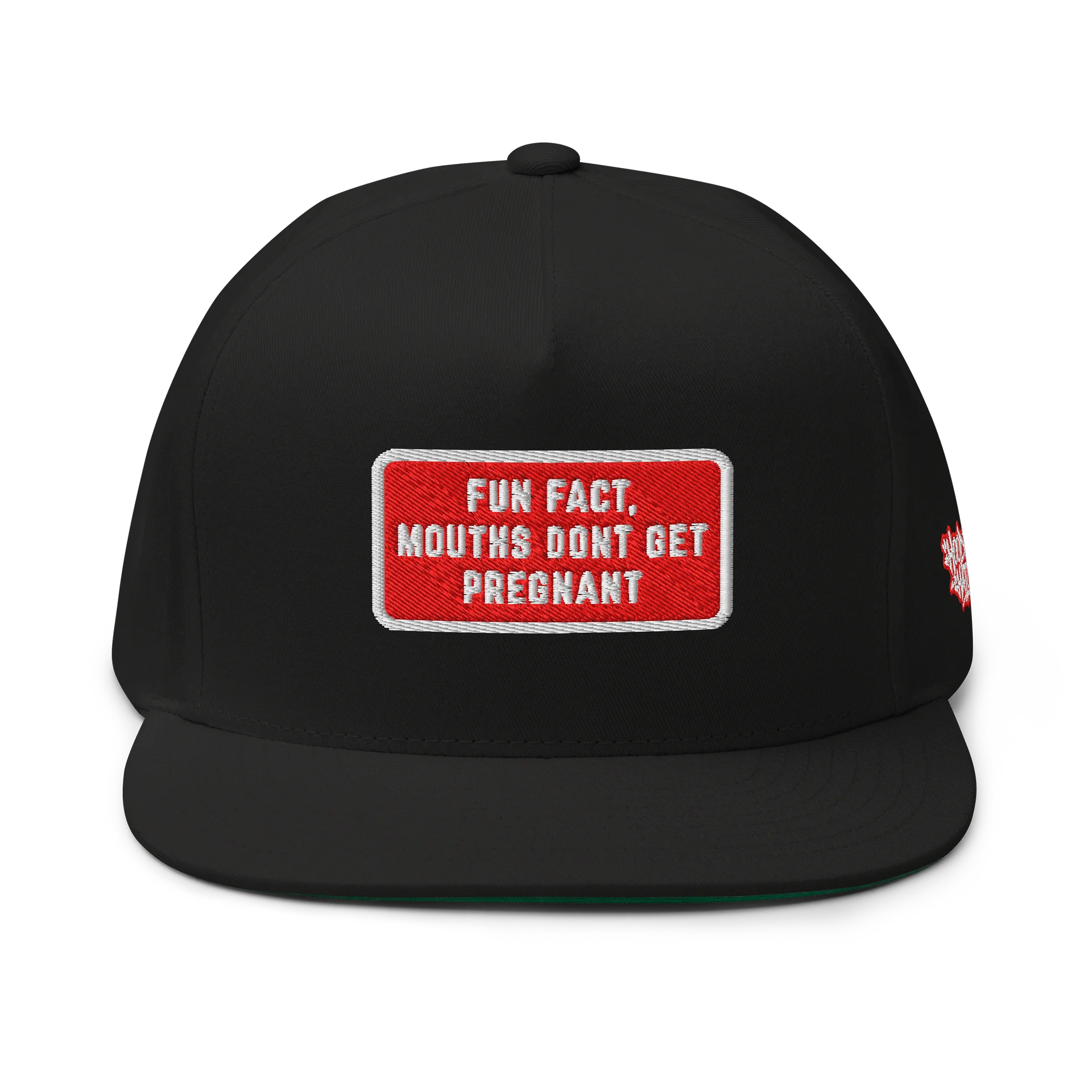 MOUTHS DONT GET PREGNANT - Embroidered SnapBack product image (1)