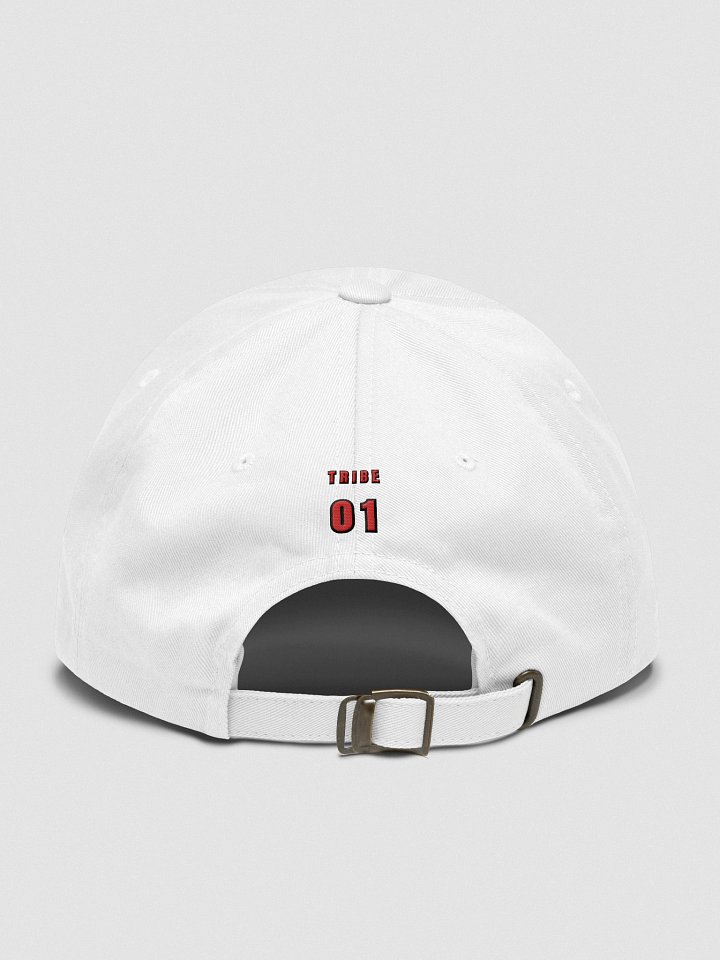 THE INCOGNITO CAP product image (2)