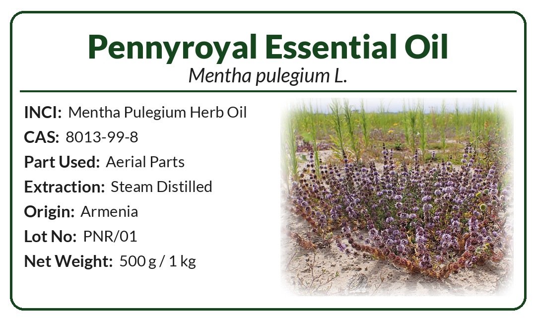 Pennyroyal Essential Oil (Mentha pulegium L.) product image (2)