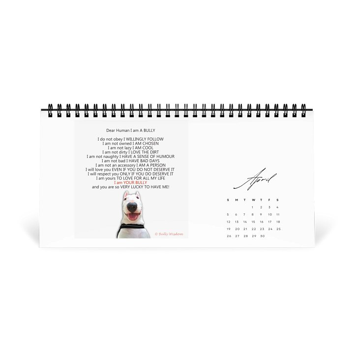 Bull Terrier- Calendar 2026 product image (1)