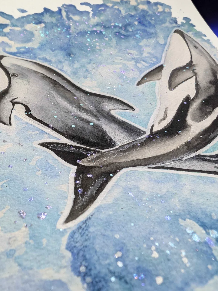 Pacific Whitesided Dolphin Watercolor product image (2)