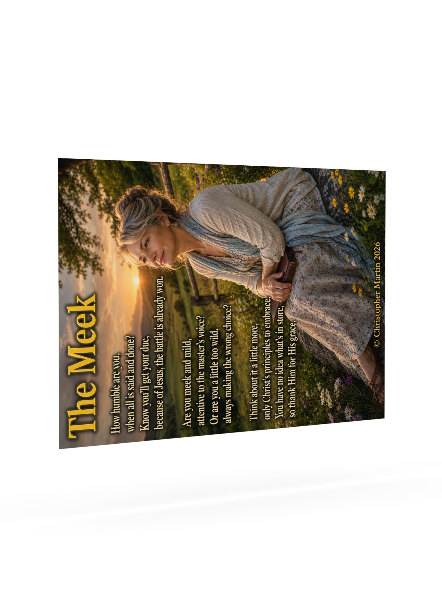 The meek product image (7)