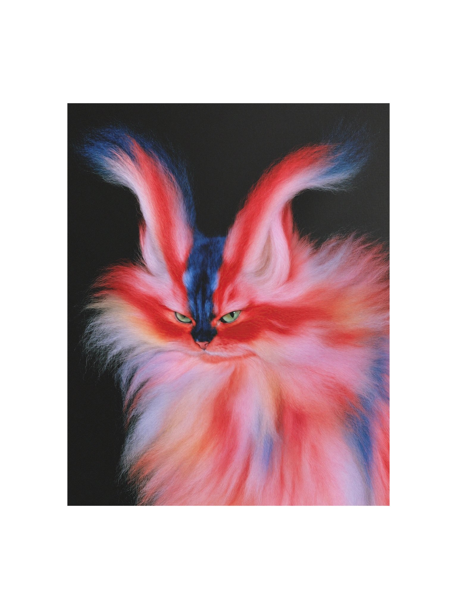 Aura Cat 002 Matte Paper Poster product image (1)