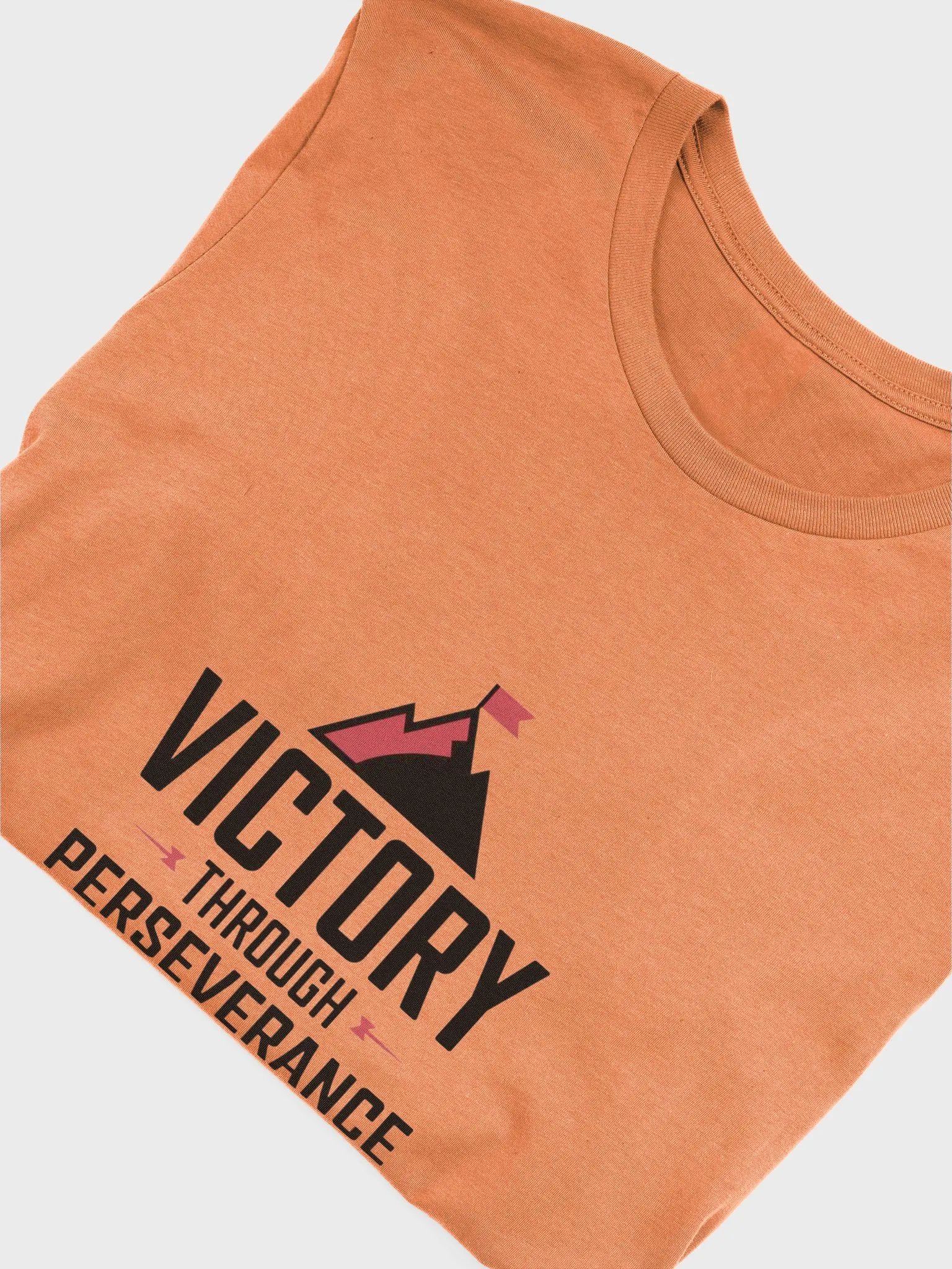 Victory Through Perseverance T-Shirt product image (50)