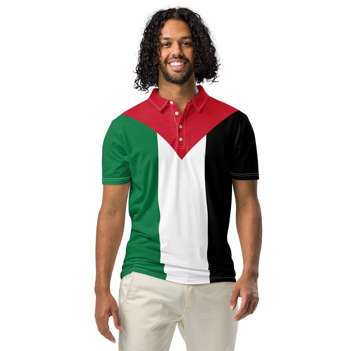 Palestine Flag Men's Polo product image (1)