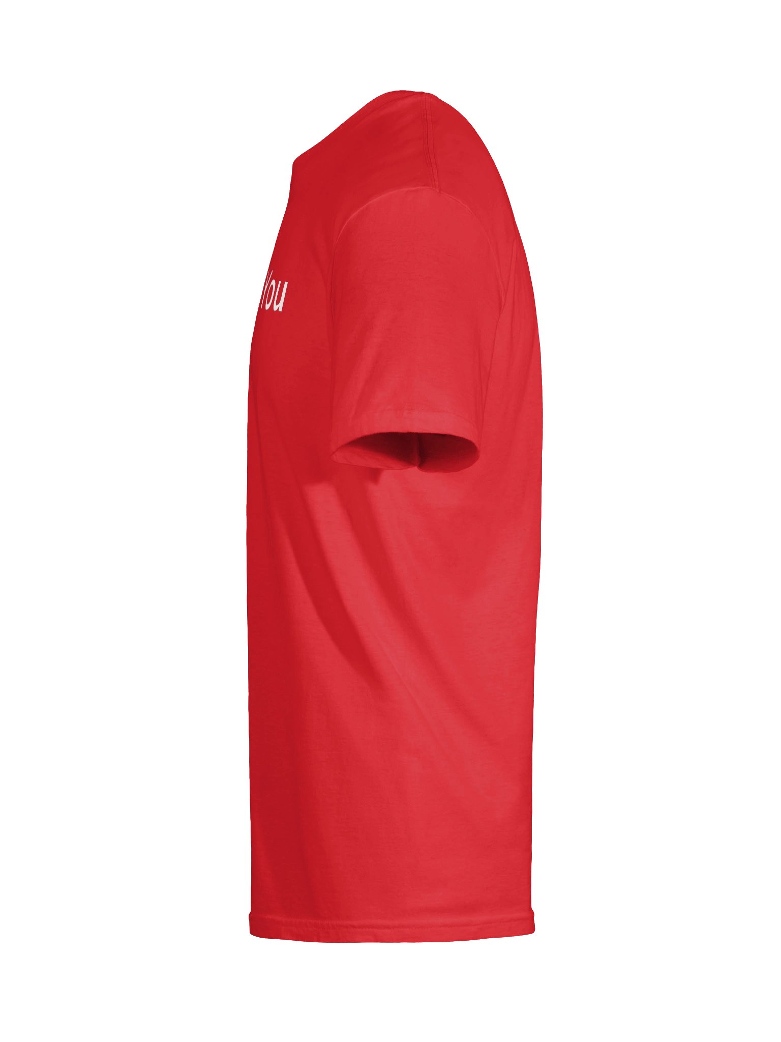 I Accept You T-Shirt product image (34)