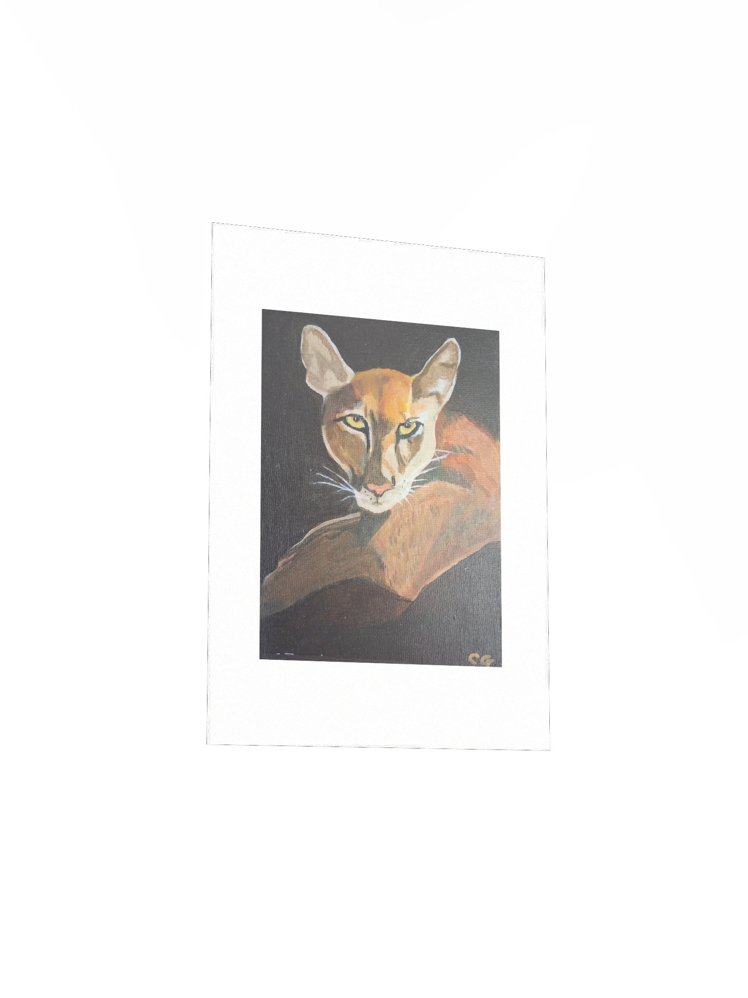 A Serious Puma from Carate — Matte Poster product image (3)