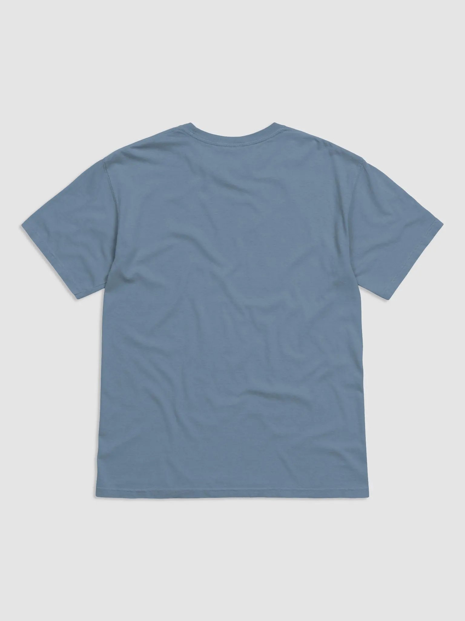 Classic Logo Heavyweight Tee product image (24)