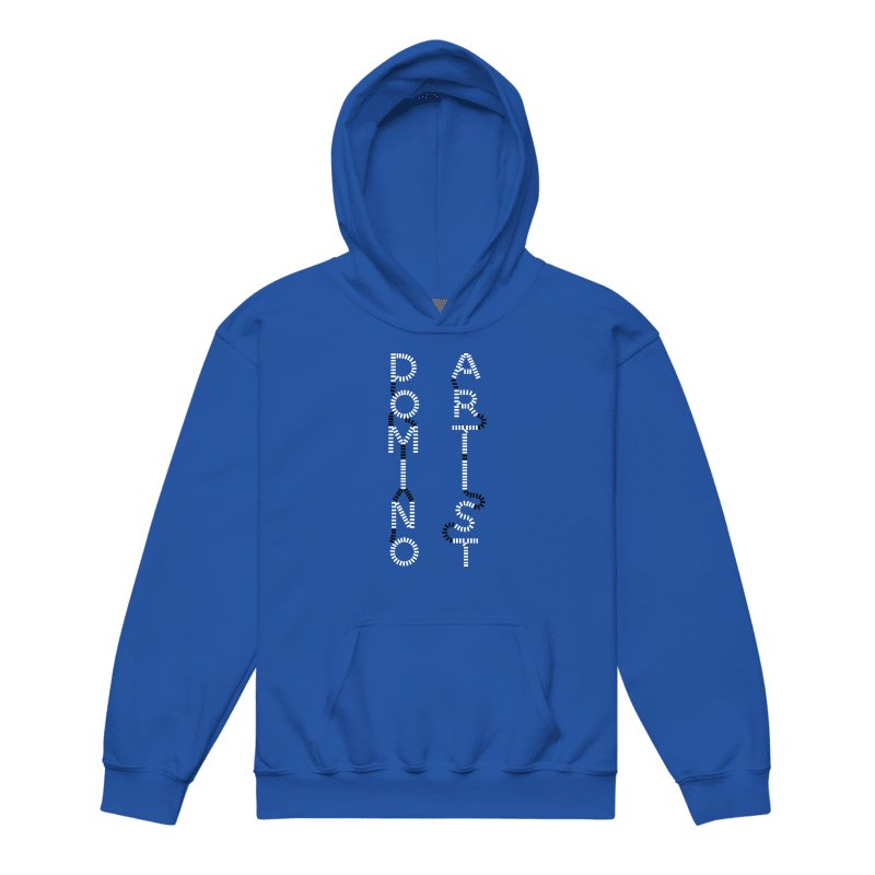 Domino Artist Hoodie (Youth) product image (2)