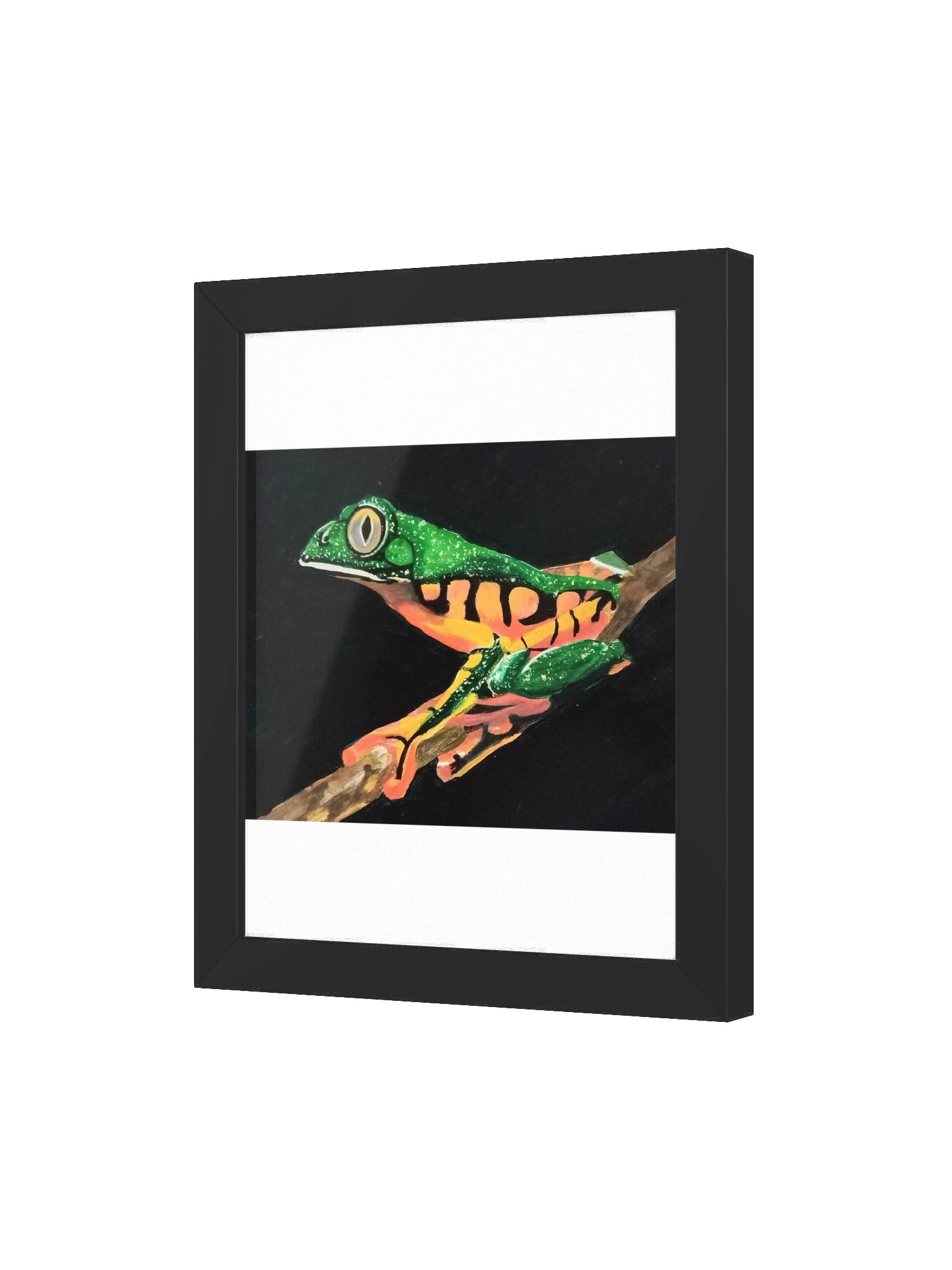 Splendid Leaf Frog – Framed Print product image (3)