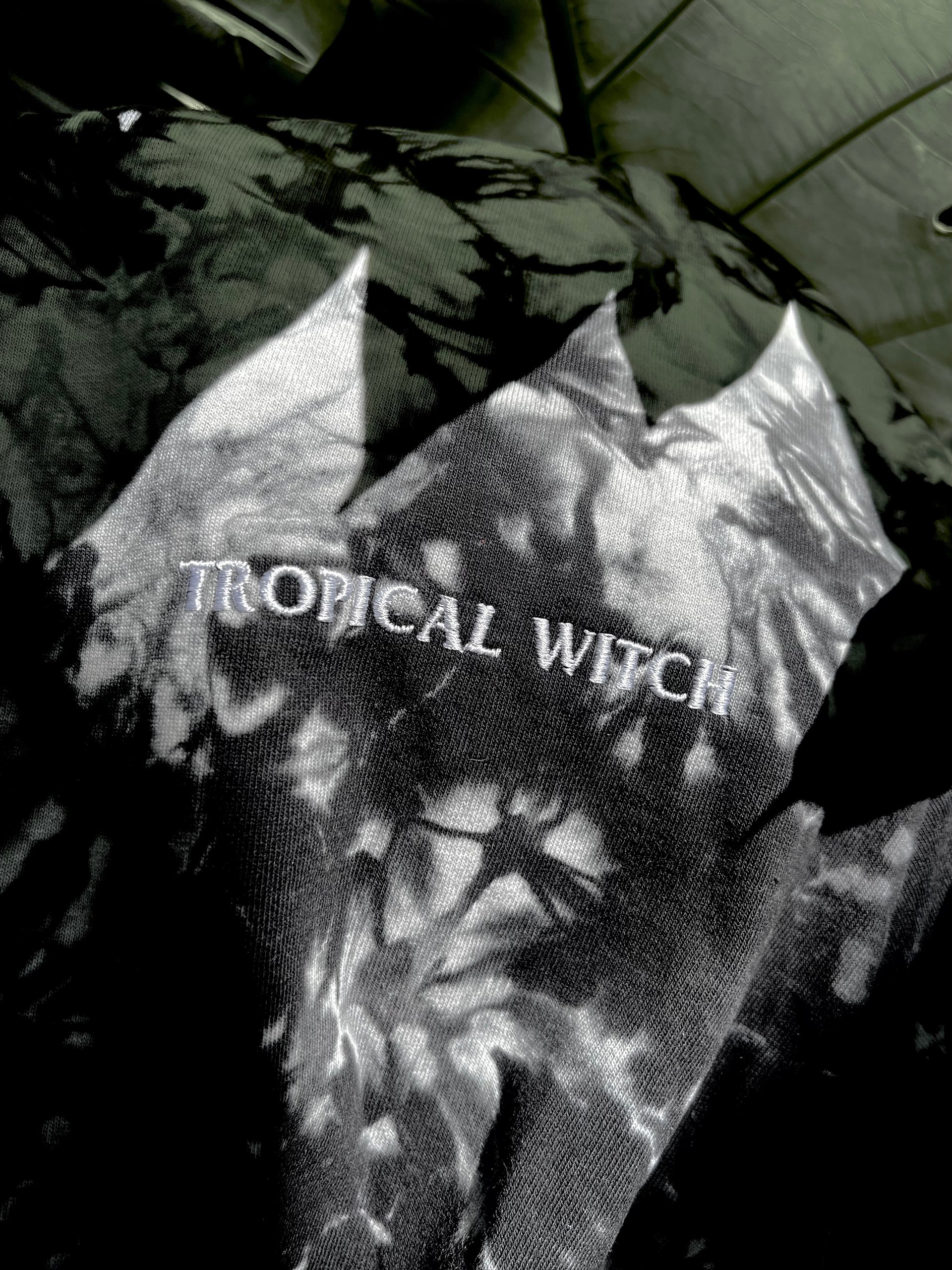 TW Tee product image (1)