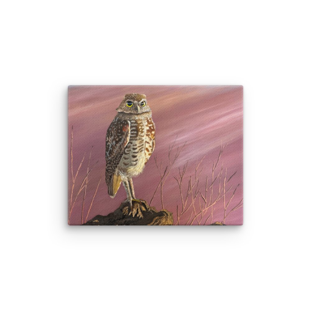 Burrowing Owl — Canvas Print product image (1)