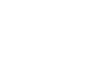 GYPSY ARK SHOP