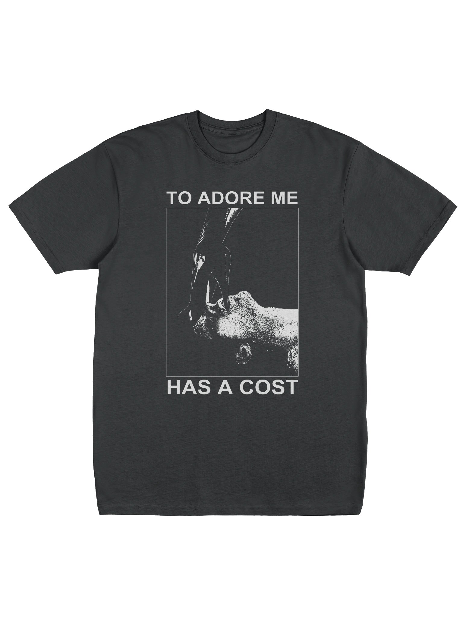COST - Tshirt product image (1)