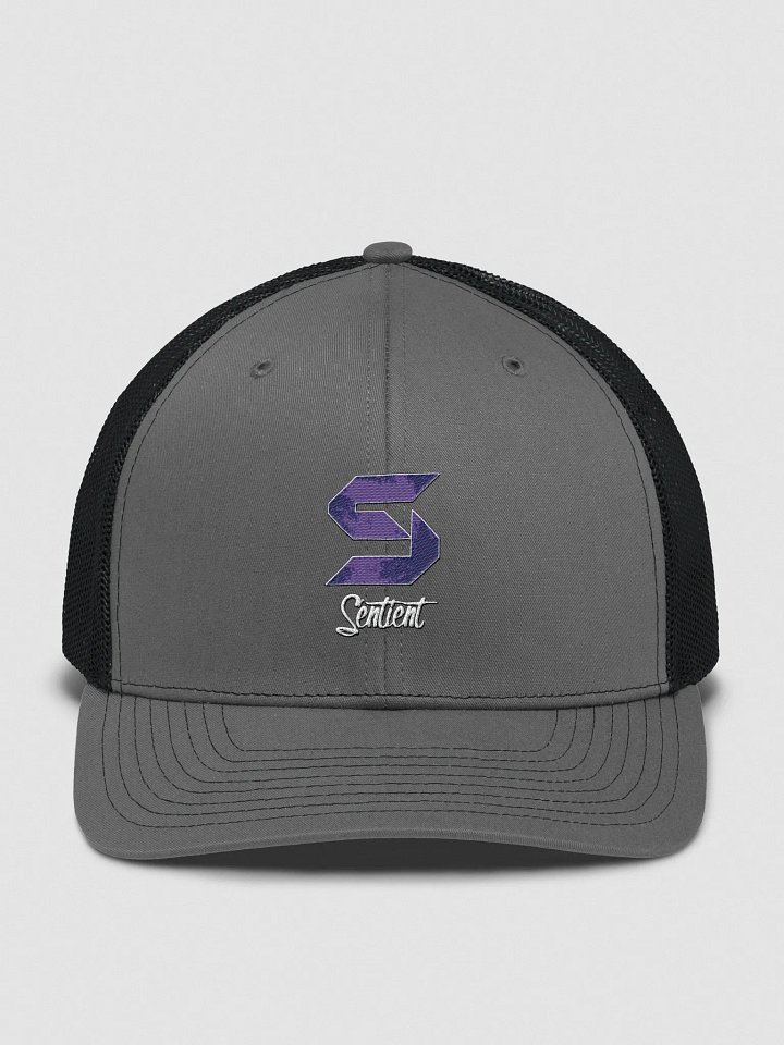 Sentient Snapback product image (1)