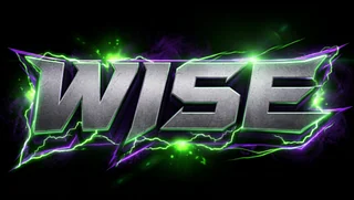 wisenoobgaming