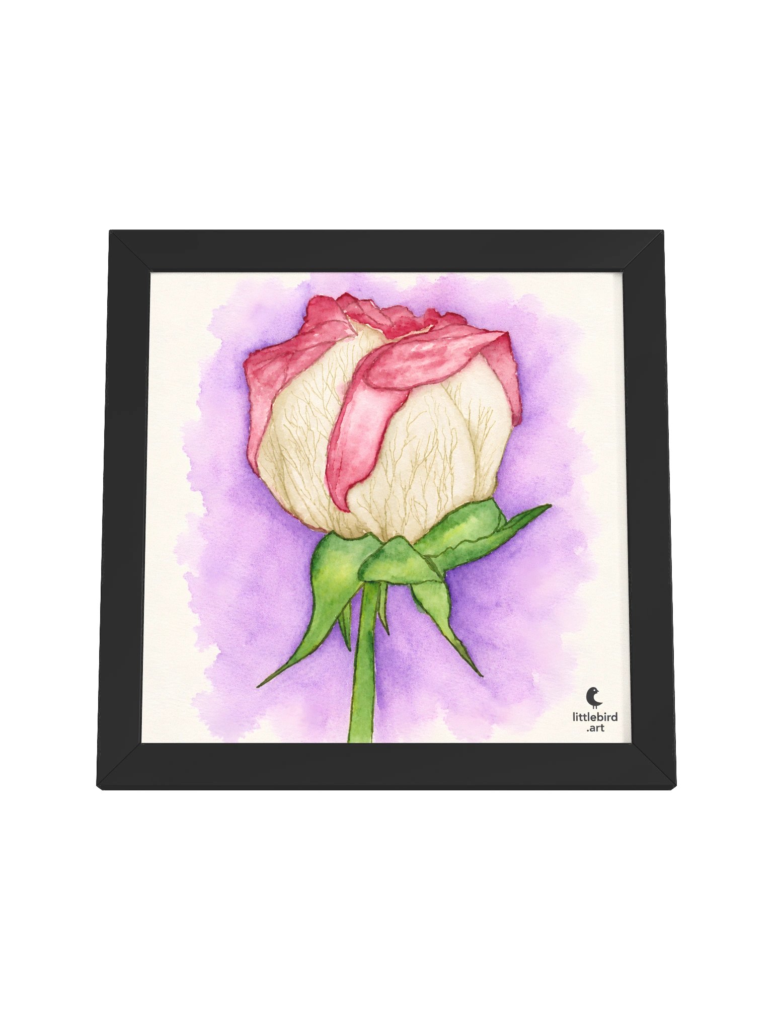 Pressed Memories product image (53)