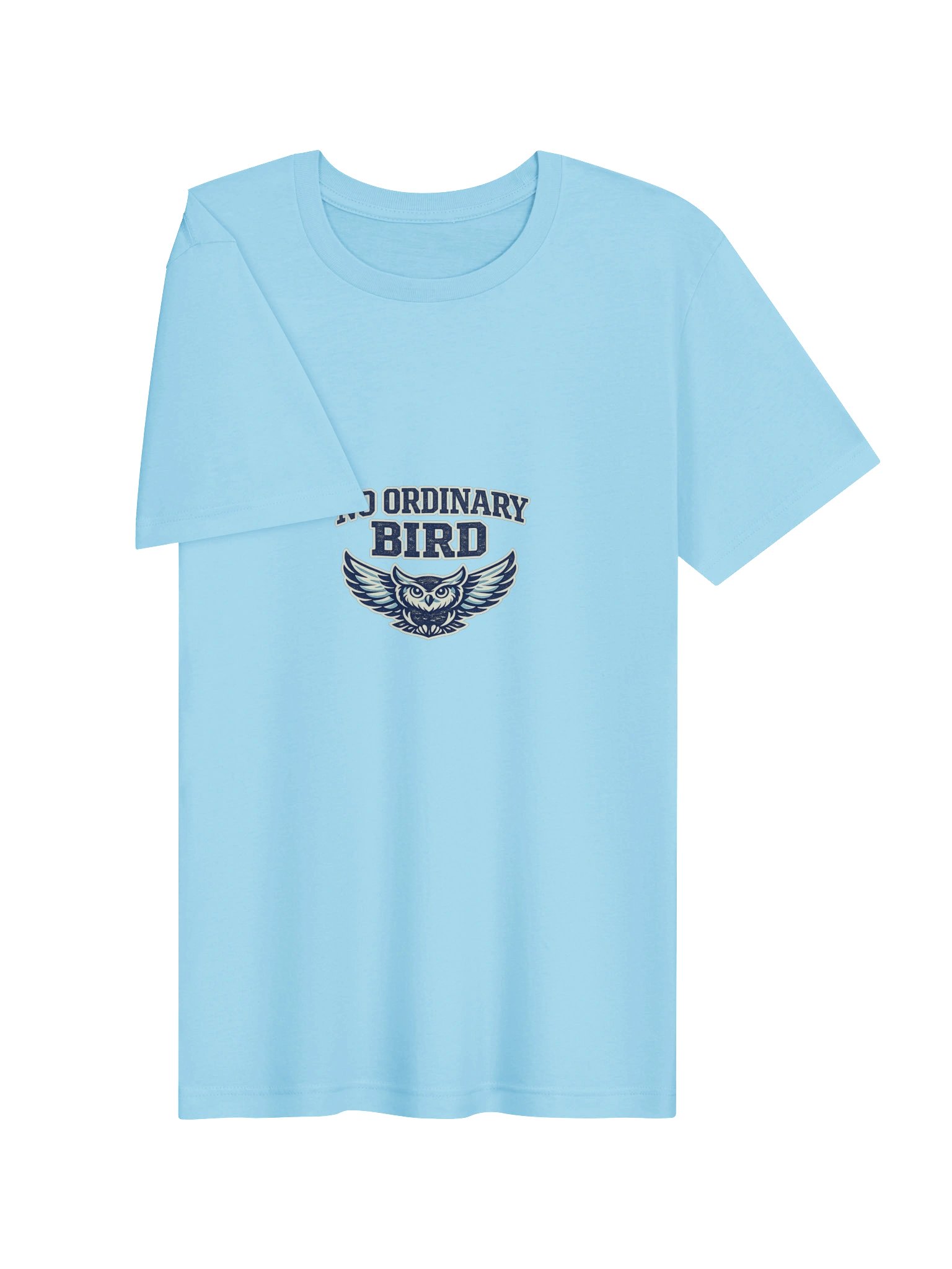 No Ordinary Bird Owl Tee product image (11)