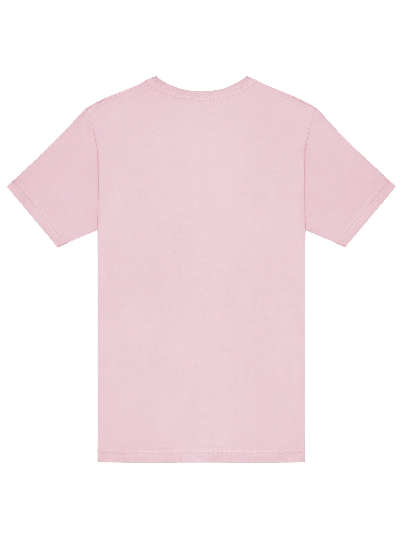 "Save a Horse Ride a Monster" Bella+Canvas T-Shirt - black text on light colors product image (46)