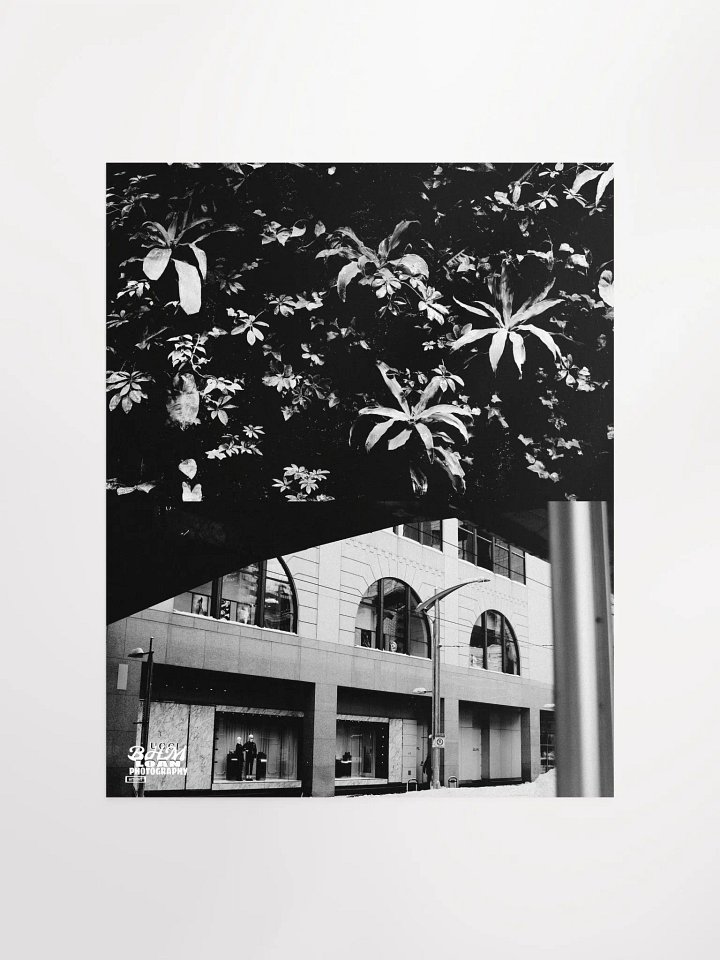 CONCEPT: NOIRÉ product image (1)