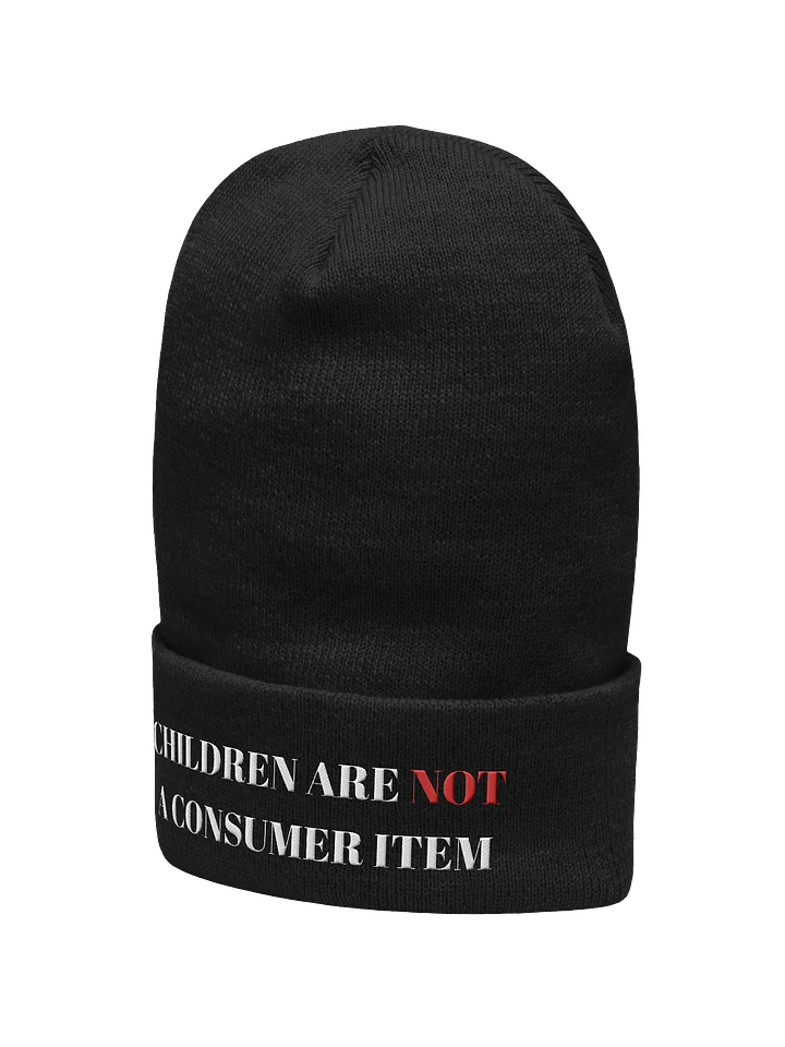 CHILDREN ARE NOT A CONSUMER ITEM BEANIE product image (2)