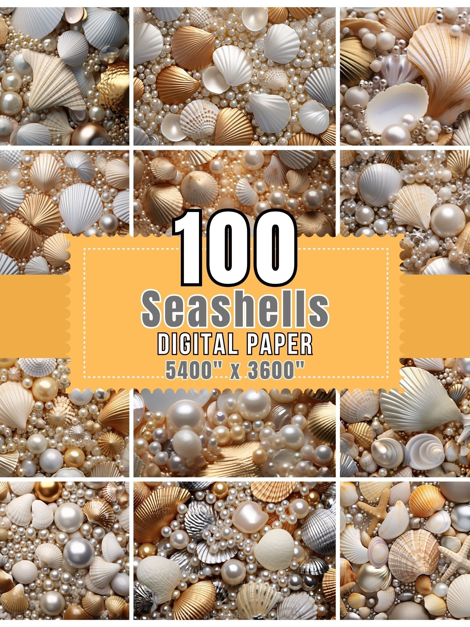 100 Seashell Digital Paper product image (7)