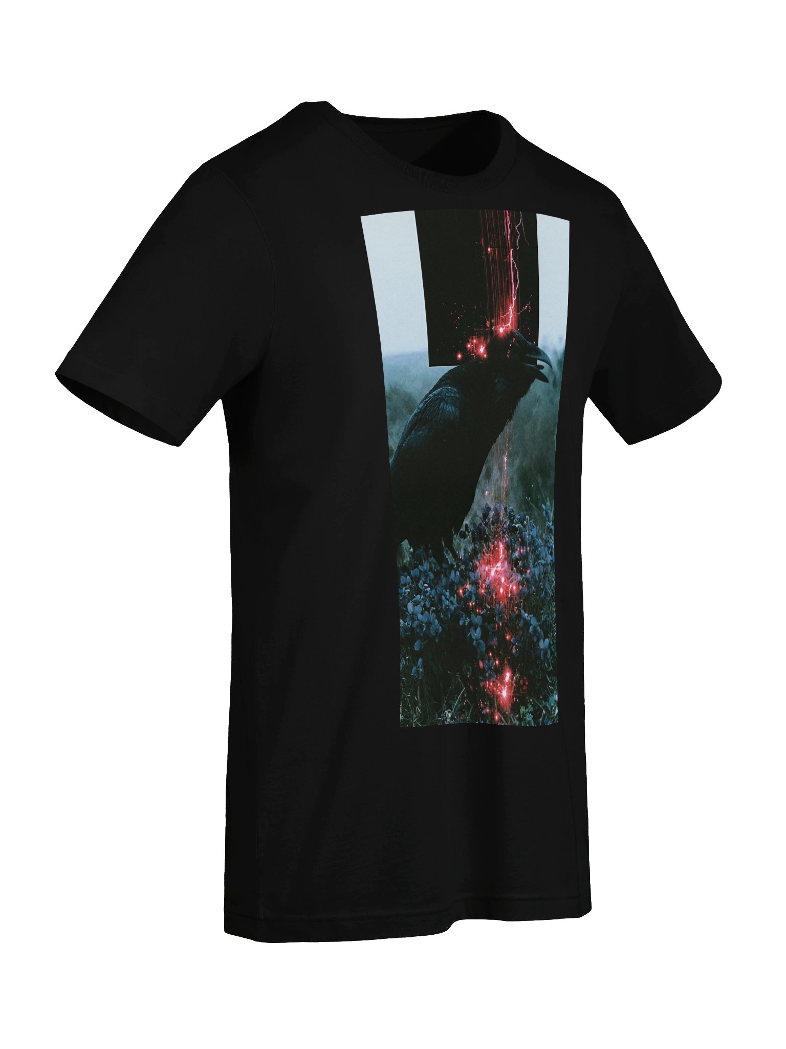 CROW - SOFT TSHIRT (UNISEX) product image (14)