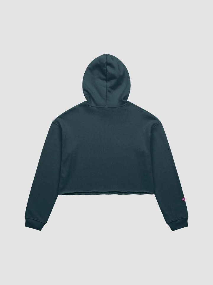 Post a Bridge Crop Top Hoodie product image (2)