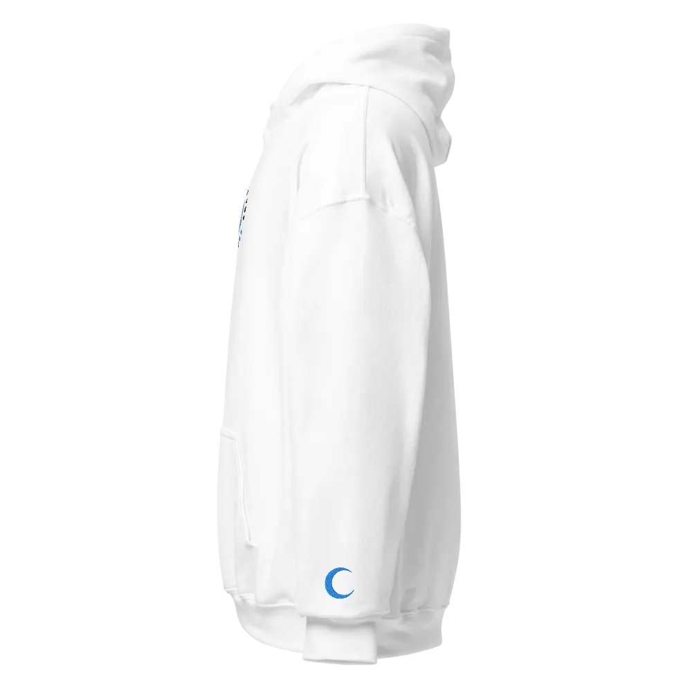 Embroidered "SabaSphere" Hoodie product image (5)