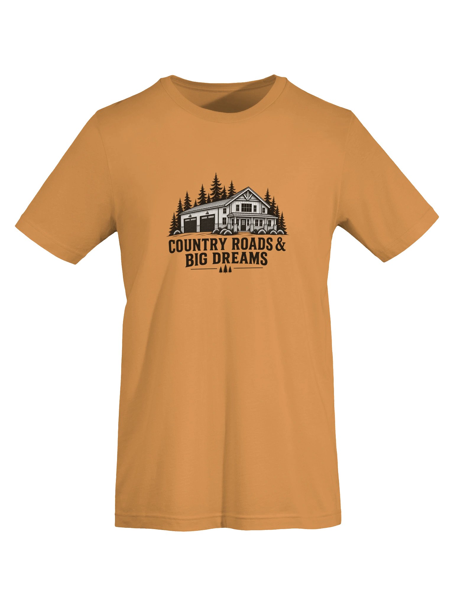 Country Roads & Big Dreams Tee product image (5)