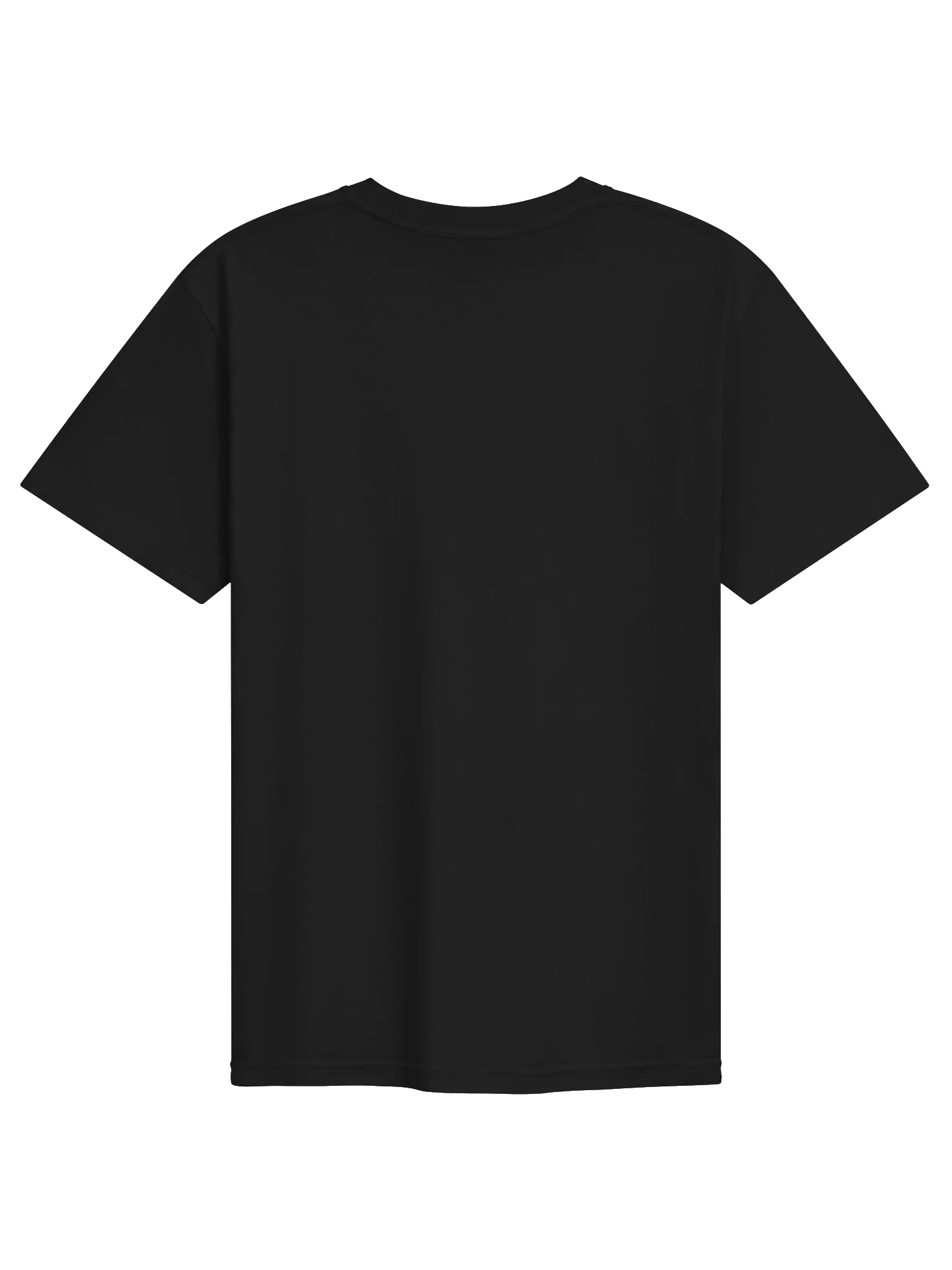 PLAIN STANDARD TEE SHIRT product image (4)