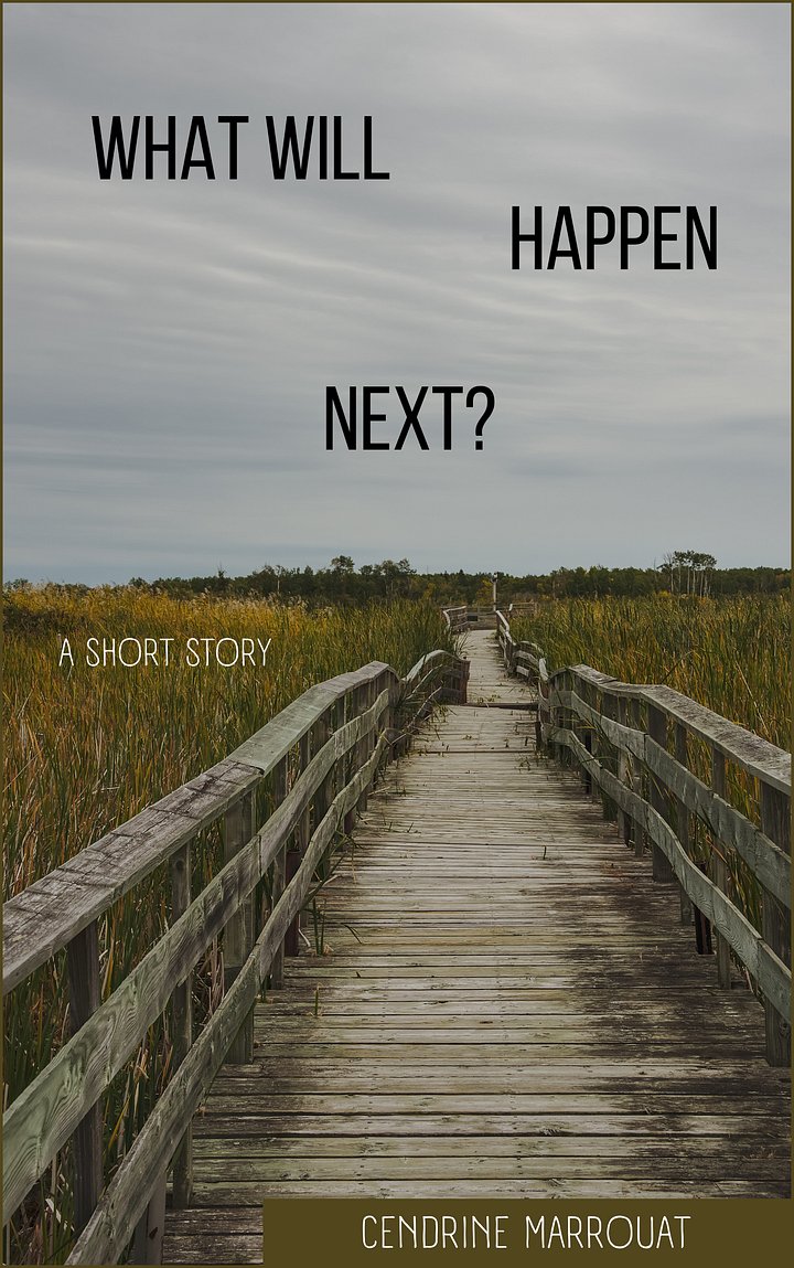 What Will Happen Next? A Short Story product image (1)