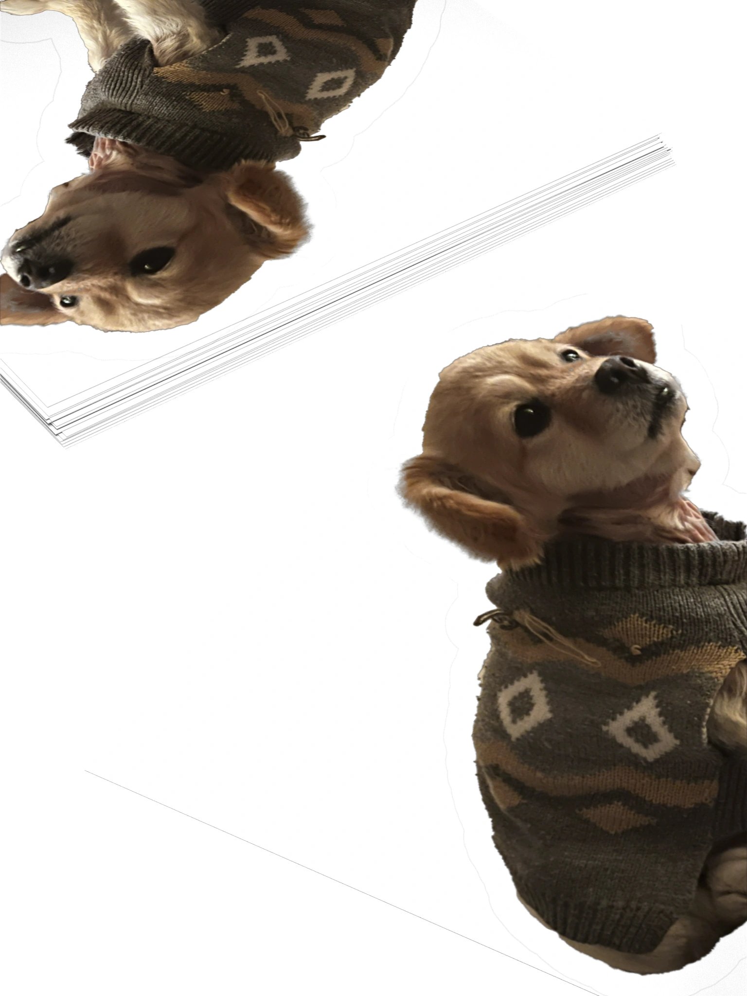 Im Sat product image (12)