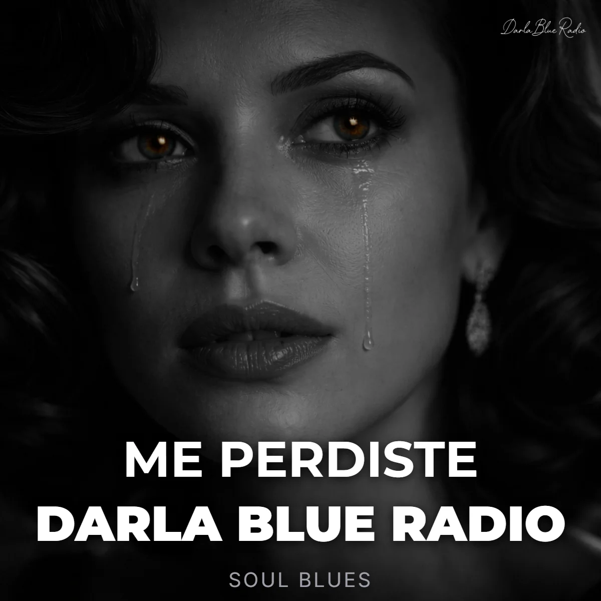 Me Perdiste - Darla Blue Radio (Soul Blues) | Descarga Digital product image (1)