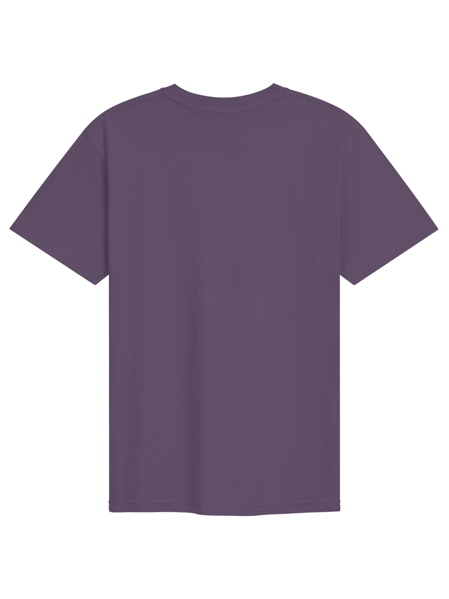 Southwest Friends & Neighbors Desert Tee - depicting Insects and Arthropods product image (34)