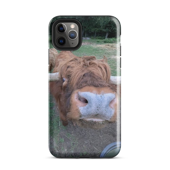 iPhone Case - Featuring Houdini! product image (51)