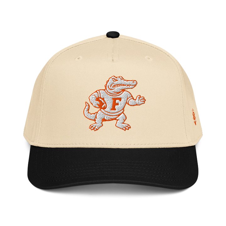 F is for Football product image (1)