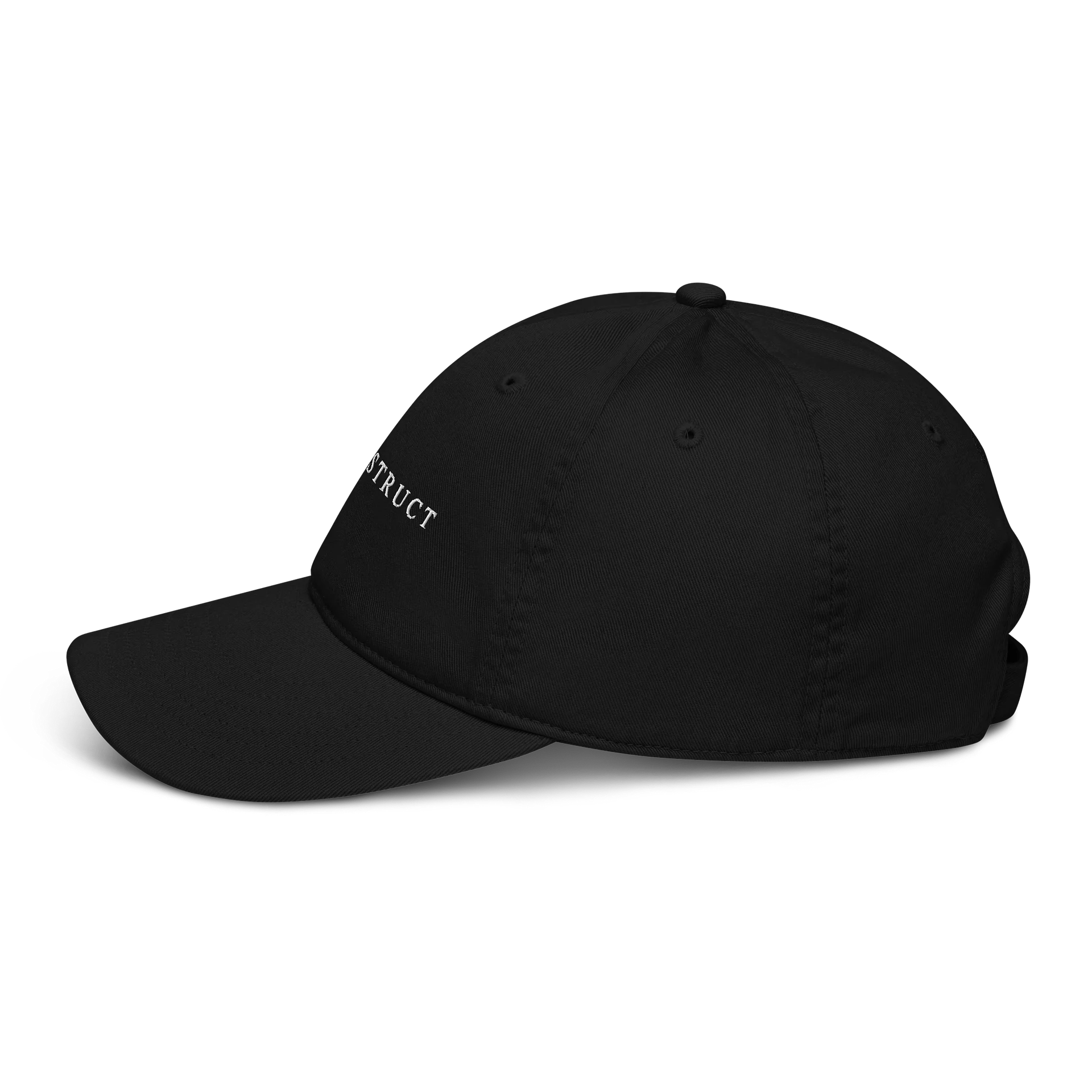 SELFDESTRUCT Dad Hat product image (2)
