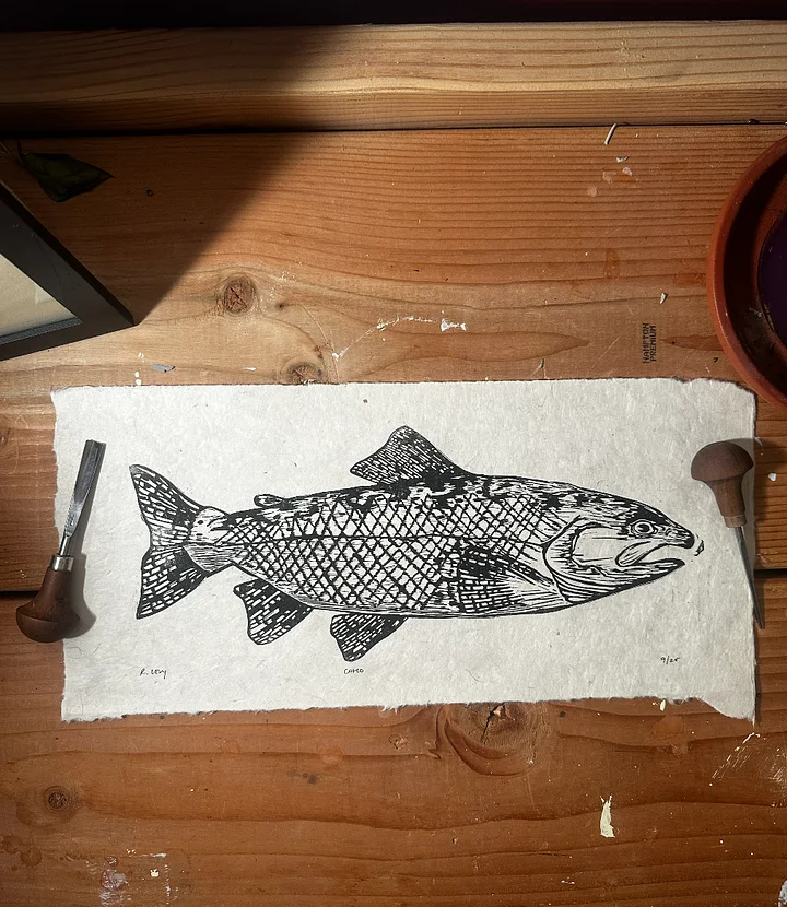 Coho product image (2)