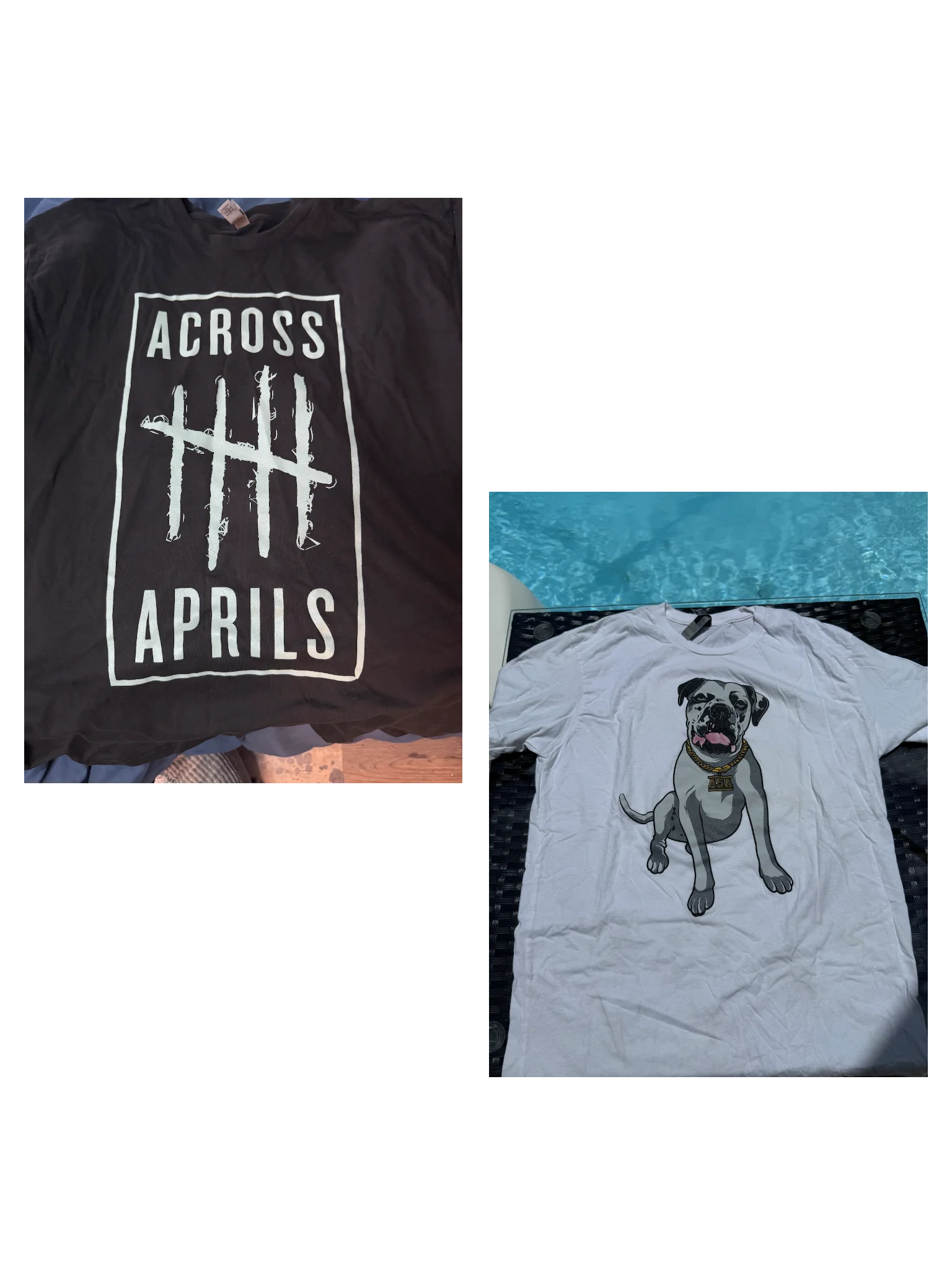 BOGO 2026 Bundle 4  product image (1)