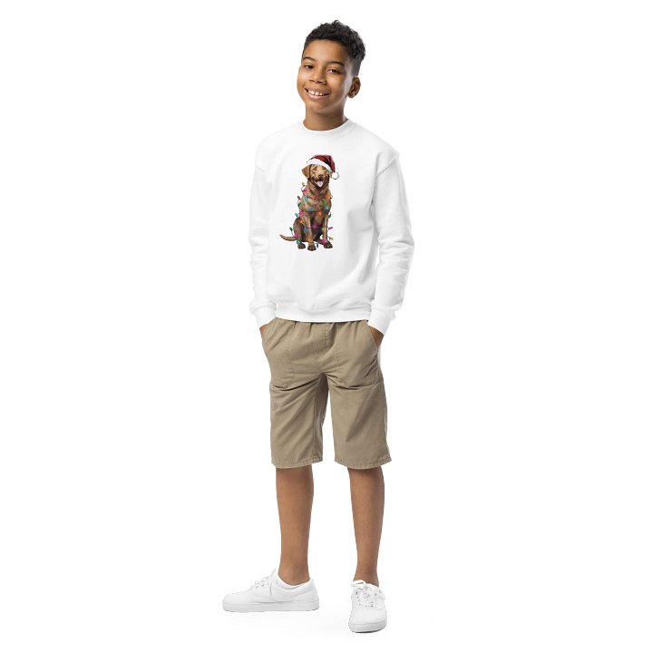 Funny Christmas Chesapeake Bay Retriever Youth Sweatshirt product image (1)
