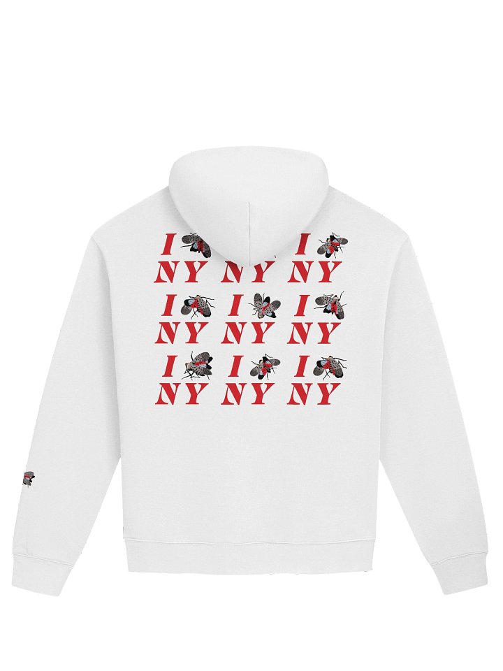 Oversized Hoodie 2 product image (2)