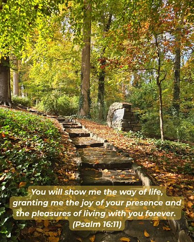 I got to explore the park in downtown Greenville, South Carolina last week. What an astonishingly beautiful place! I snapped ...