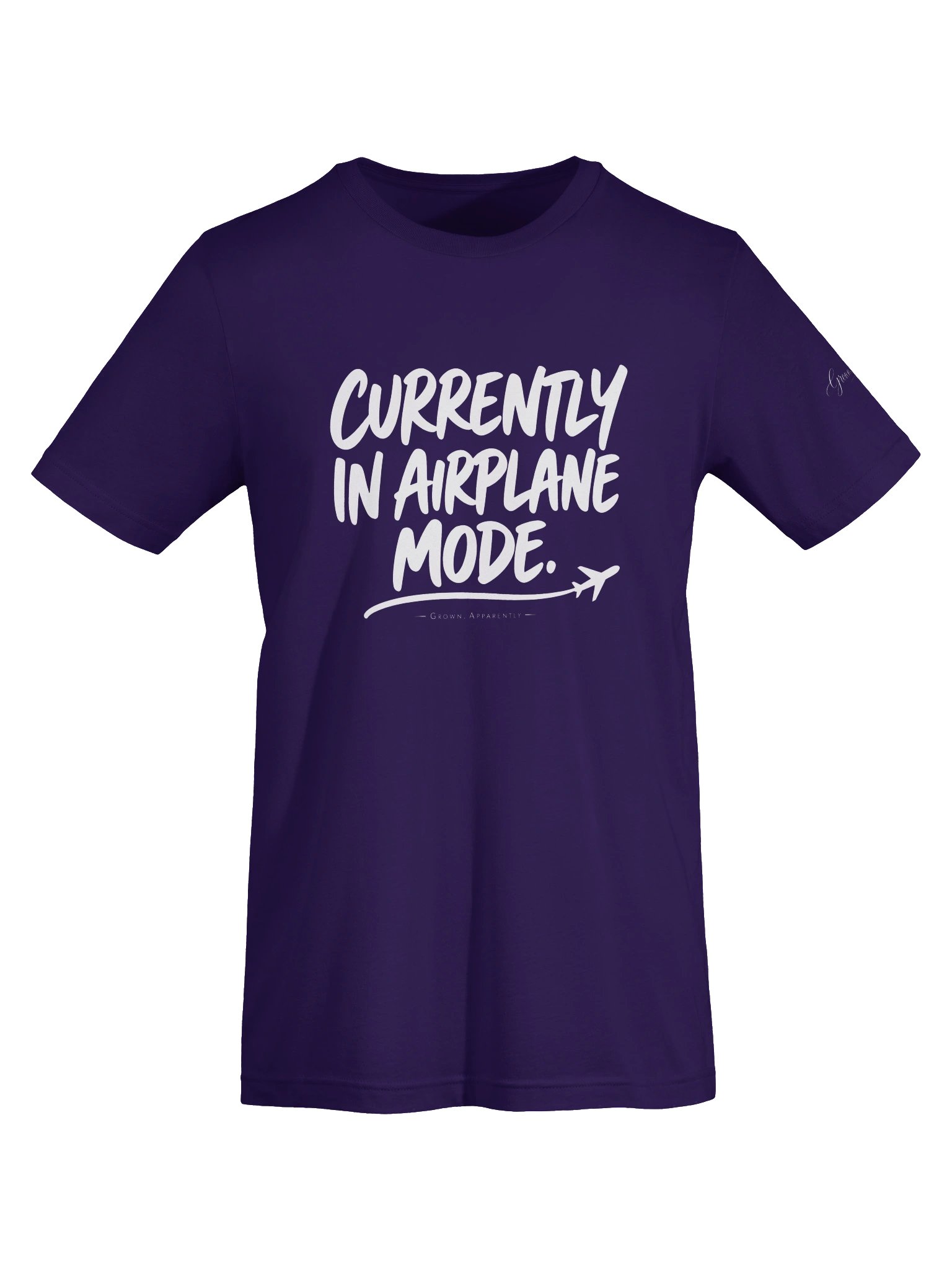 Currently in Airplane Mode Tee product image (61)