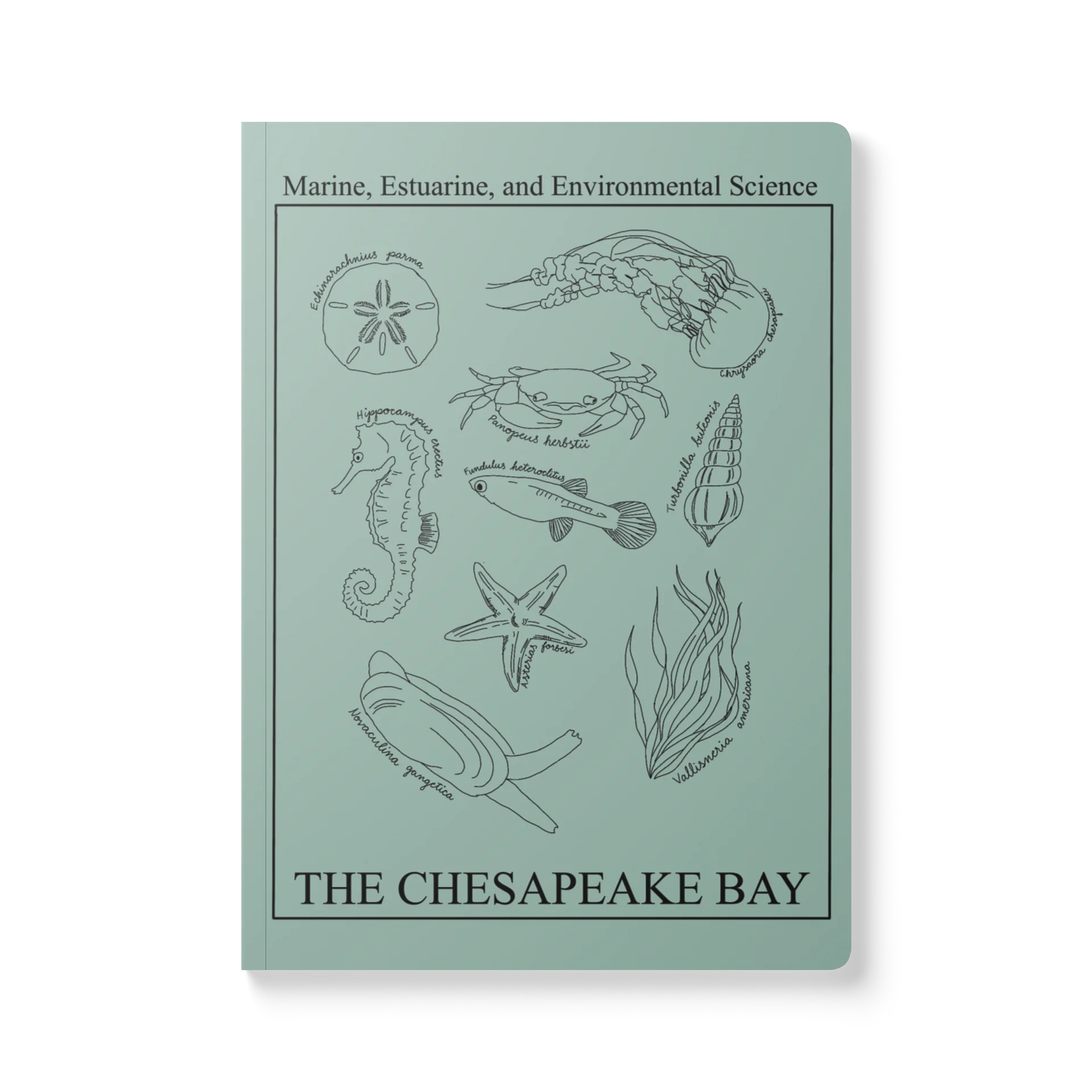 Chesapeake Bay Notebook product image (1)