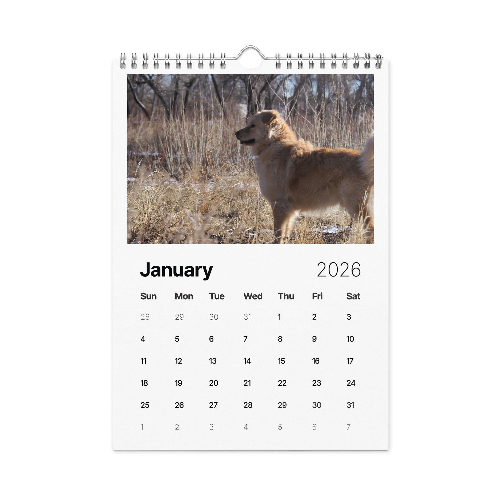 Milo's Life 2026 Wall Calendar product image (9)