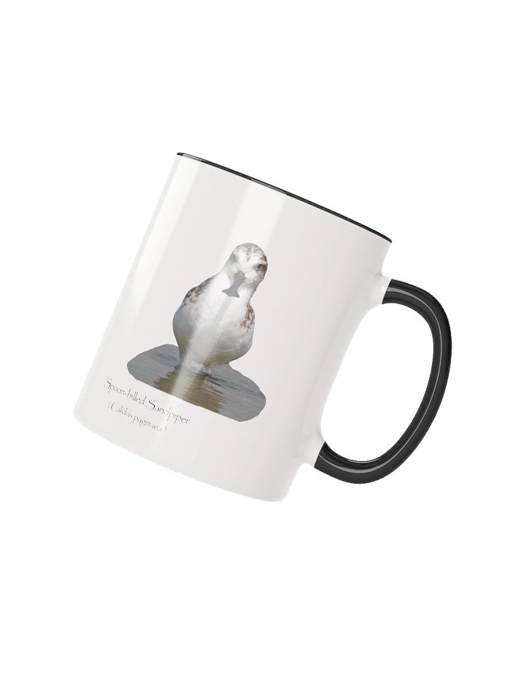 Spoon-billed Sandpiper product image (11)